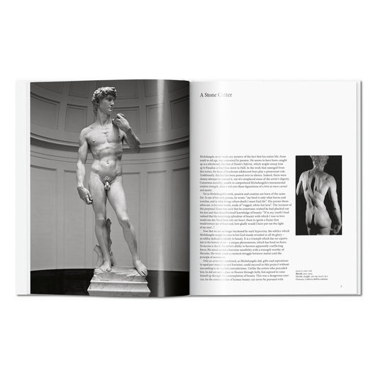 Michelangelo (English)