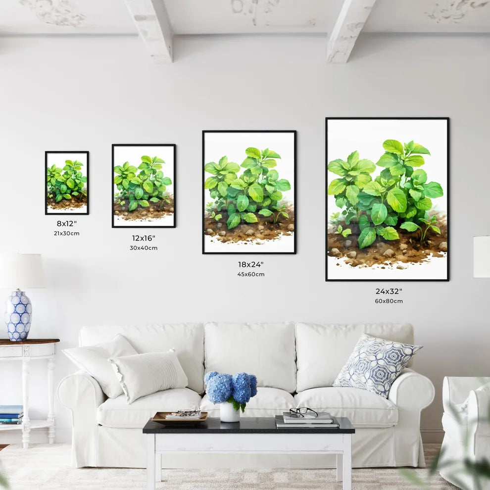 Mint In Garden - A Green Plant With Leave Wall Art