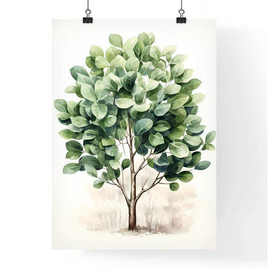 Olive Tree - A Watercolor Of A Tre Poster