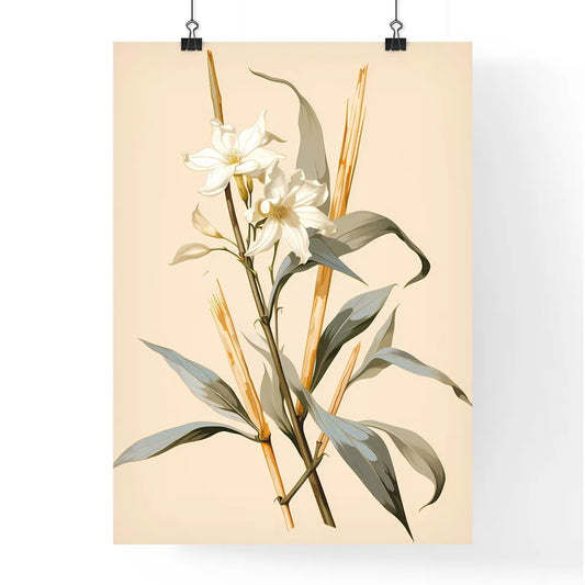 Vanilla - A White Flowers And Green Leave Poster