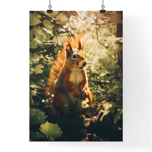 A Poster of a squirrel scampers after nuts Poster