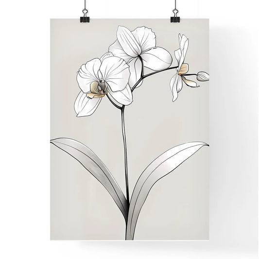Minimalist Continuous Line Orchid Art Poster
