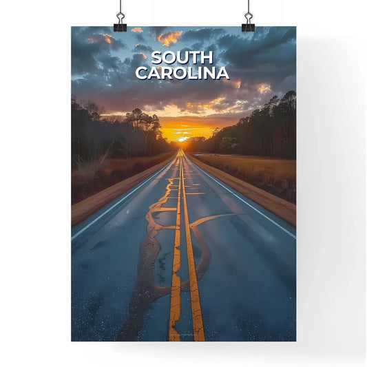 Artistic Impression of a South Carolina Suns Poster