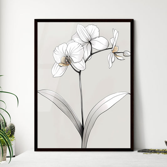 Minimalist Continuous Line Orchid Art: Elegant Black and White Floral Drawing with Neutral Harmony Default Title