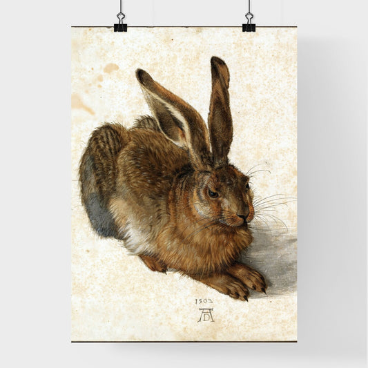 Young Hare by Albrecht Dürer Poster