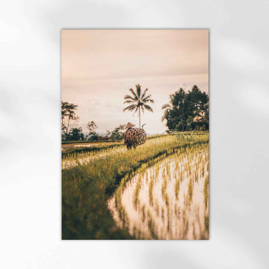 Jatiluwih Rice Fields Bali Wall Art Print – Indonesia Landscape Photography