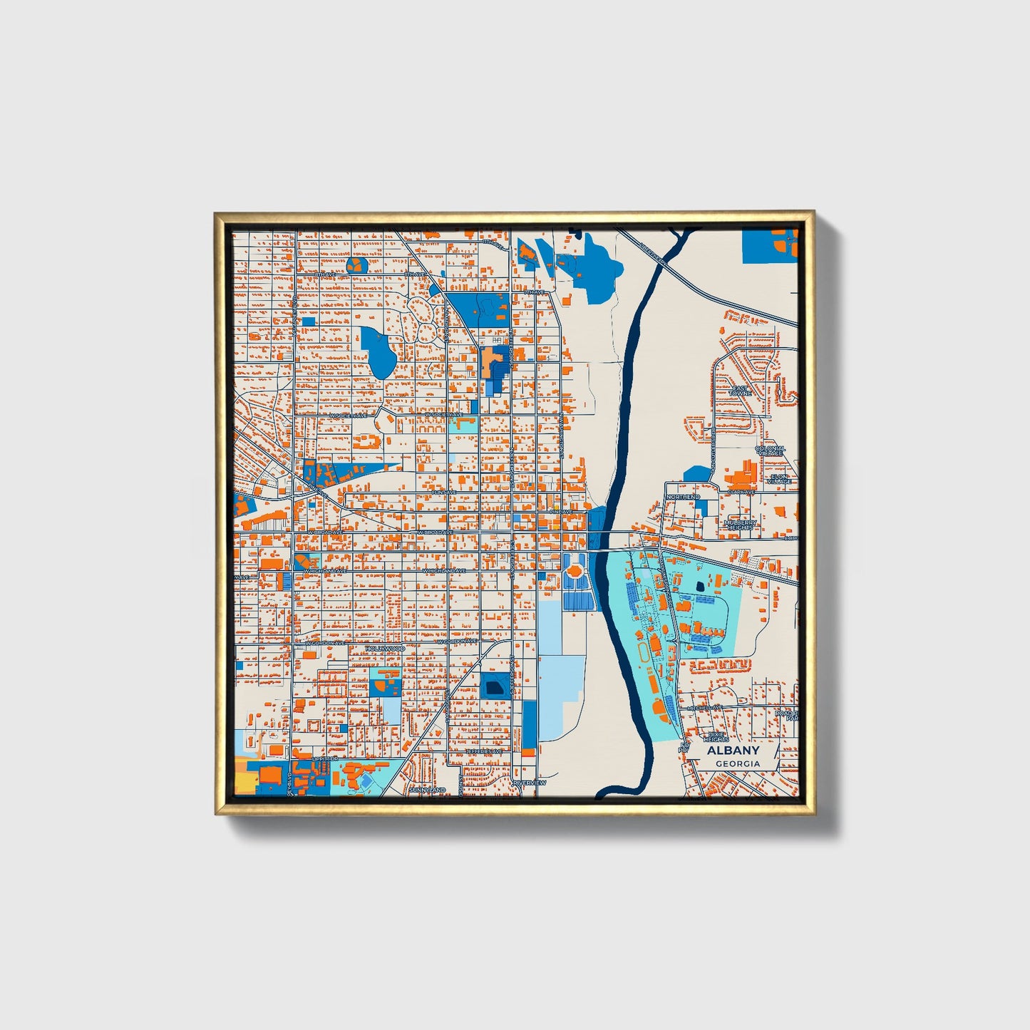 Albany Georgia Colorful City Map Canvas Print • Gold Framed