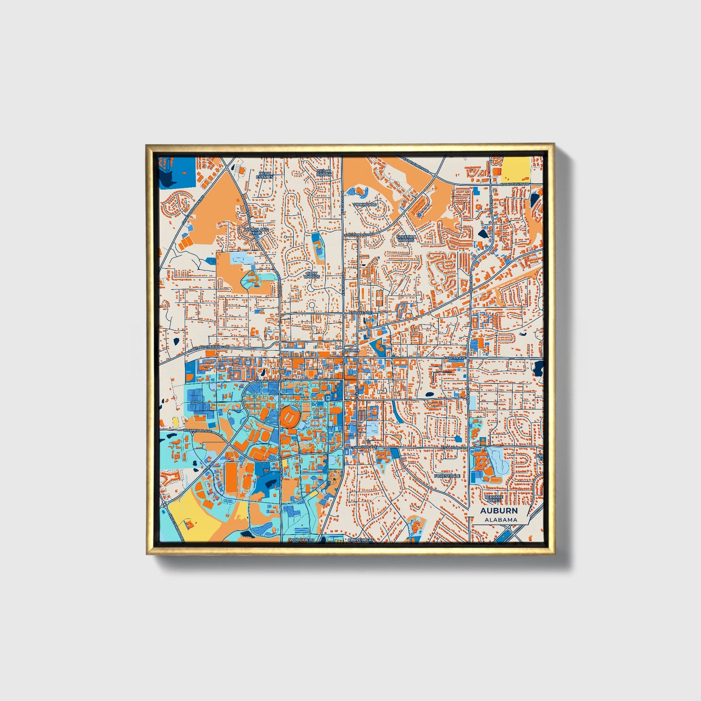 Auburn Alabama Colorful City Map Canvas Print • Gold Framed