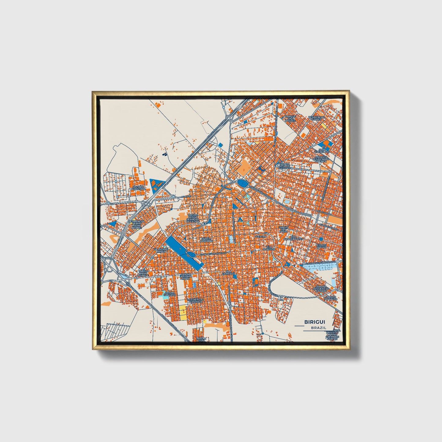 Birigui Brazil Colorful City Map Canvas Print • Gold Framed