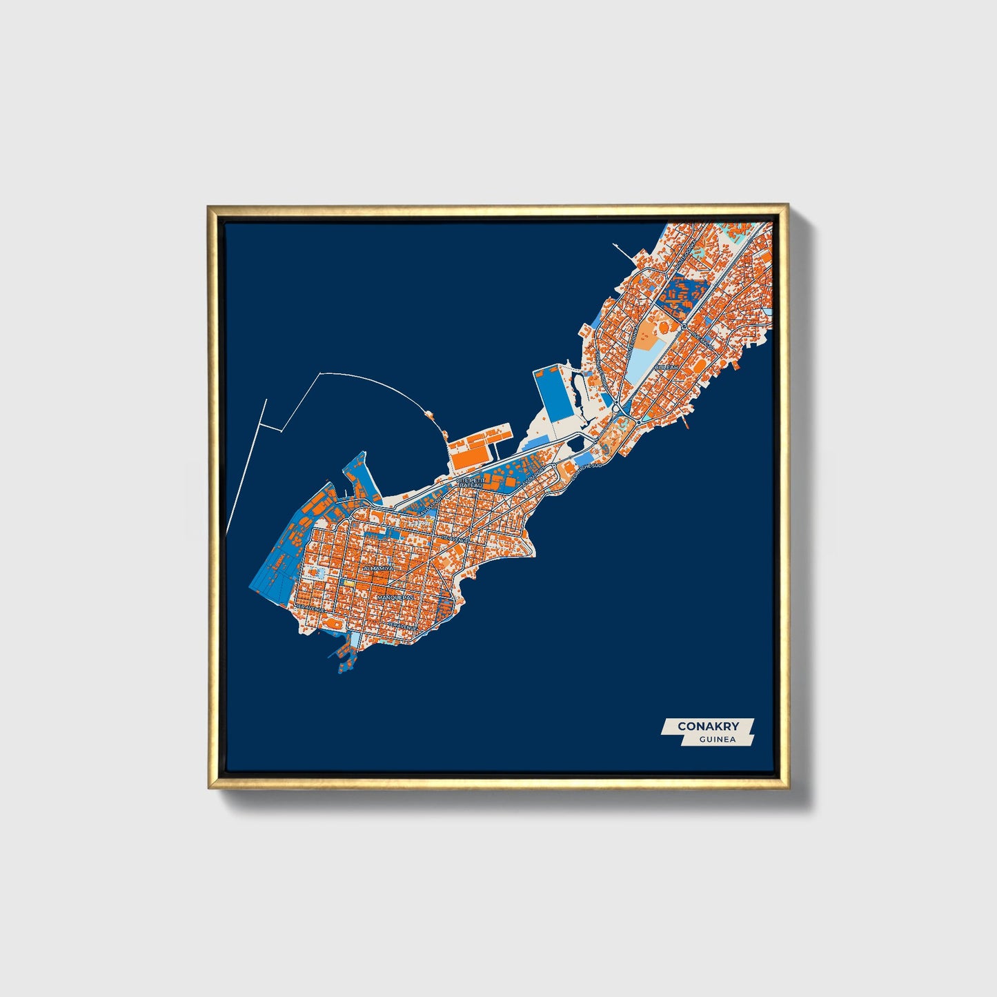 Conakry Guinea Colorful City Map Canvas Print • Gold Framed
