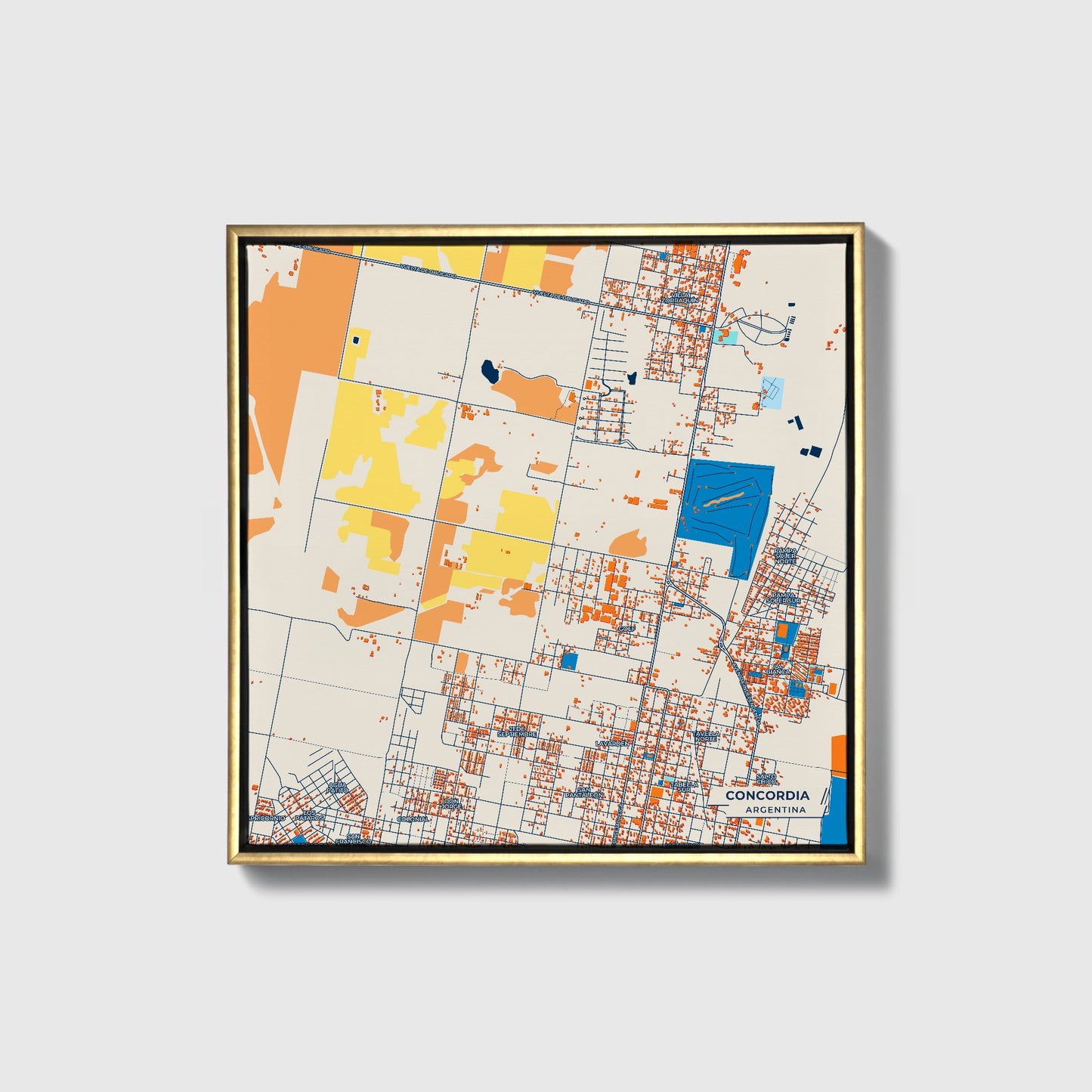 Concordia Argentina Colorful City Map Canvas Print • Gold Framed