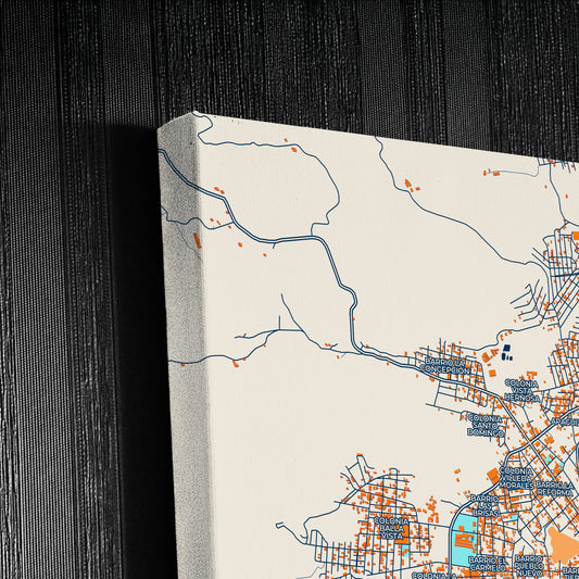 Danlí Honduras Colorful City Map Canvas Print Detail