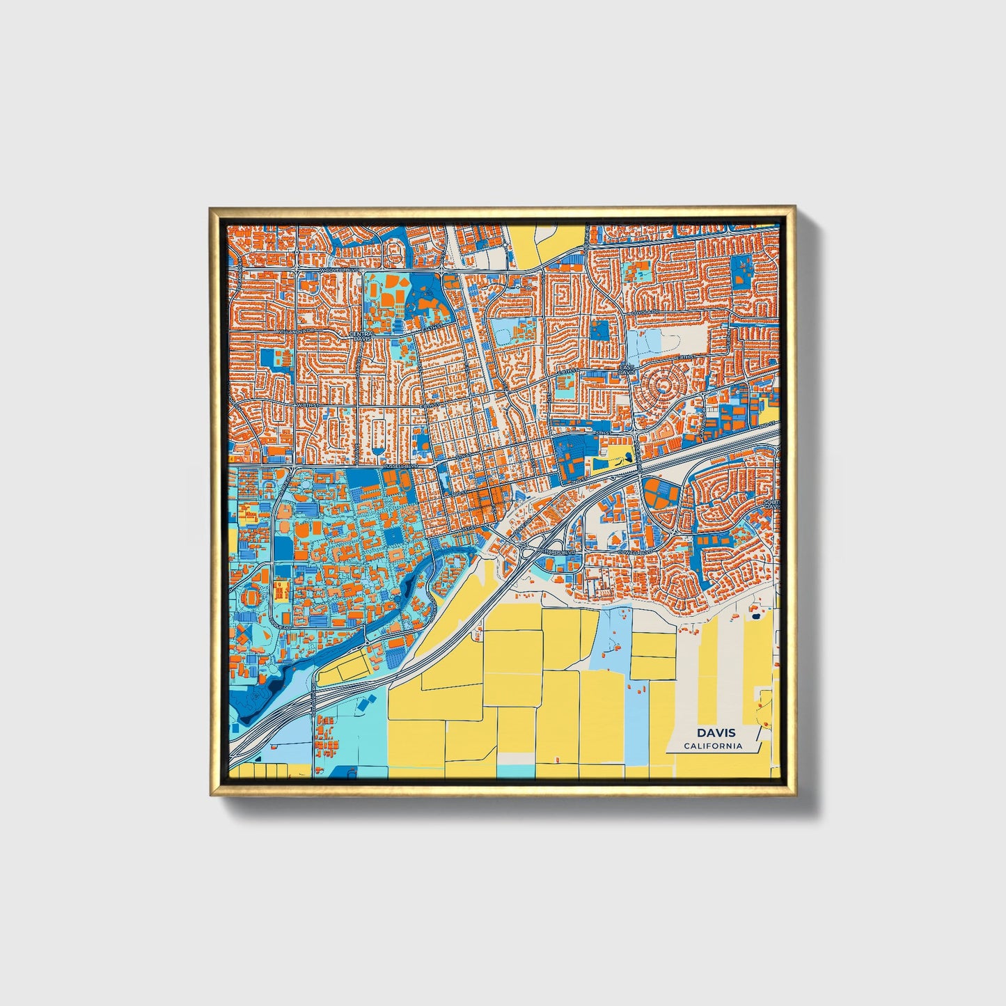 Davis California Colorful City Map Canvas Print • Gold Framed