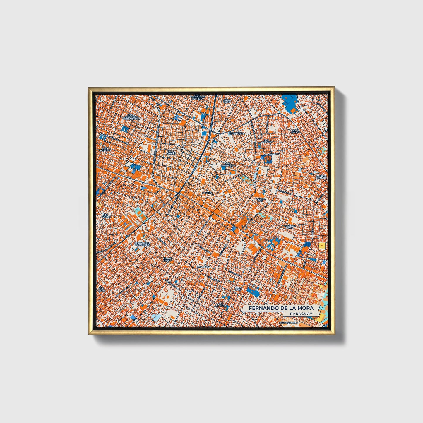 Fernando De La Mora Paraguay Colorful City Map Canvas Print • Gold Framed