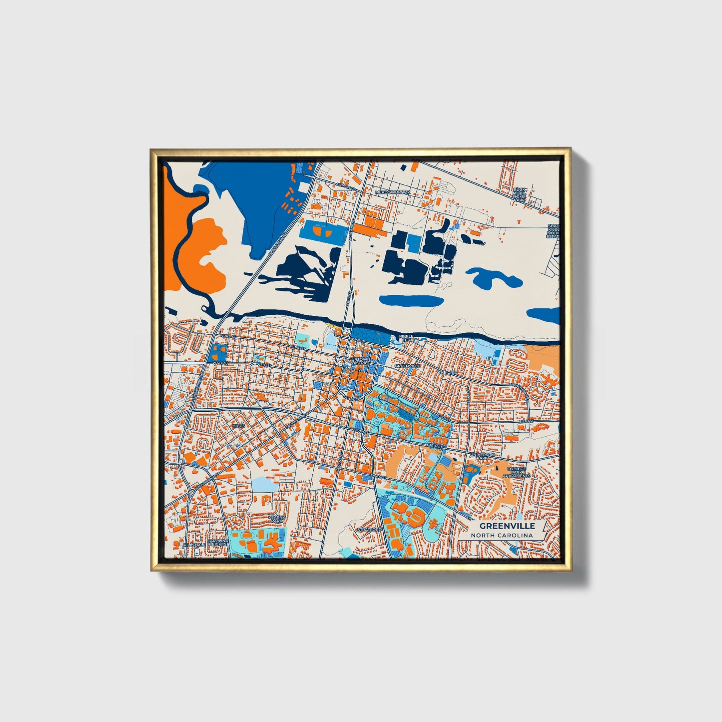 Greenville North Carolina Colorful City Map Canvas Print • Gold Framed