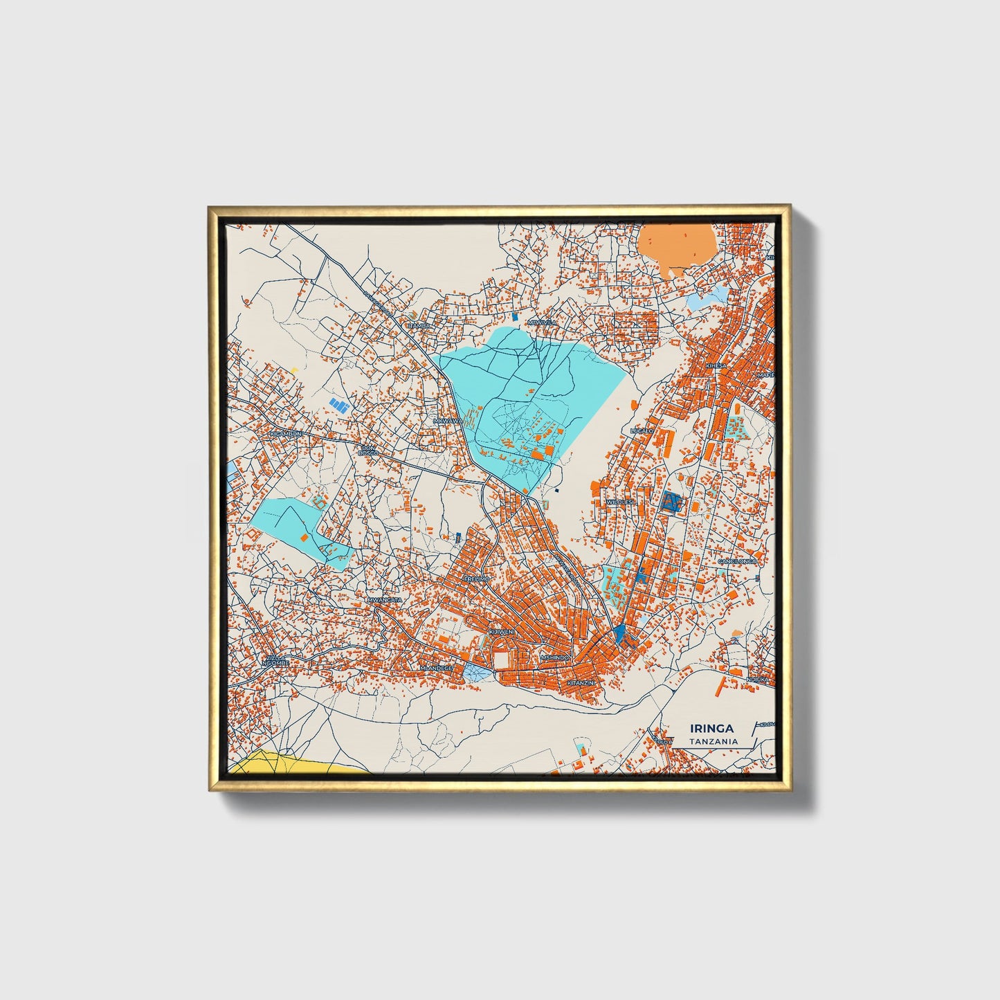 Iringa Tanzania Colorful City Map Canvas Print • Gold Framed