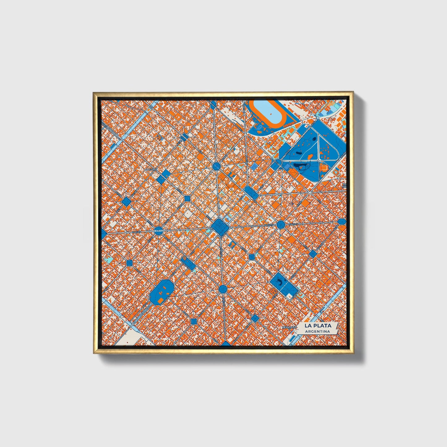La Plata Argentina Colorful City Map Canvas Print • Gold Framed