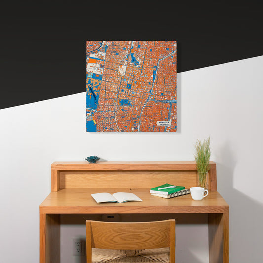 Mendoza Argentina Colorful City Map Canvas Print Scene