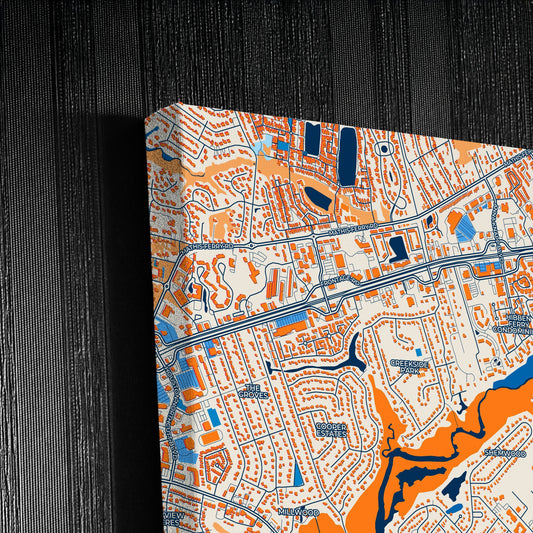 Mount Pleasant South Carolina Colorful City Map Canvas Print Detail