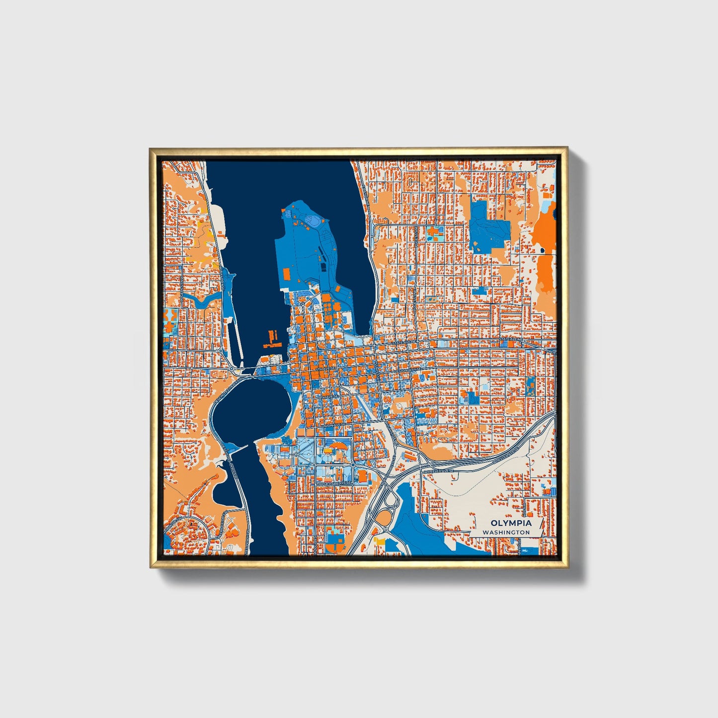 Olympia Washington Colorful City Map Canvas Print • Gold Framed