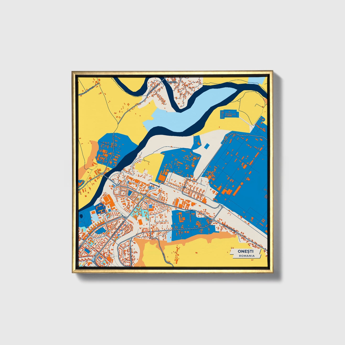 Onești Romania Colorful City Map Canvas Print • Gold Framed