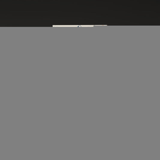 Quelimane Mozambique Colorful City Map Canvas Print Scene