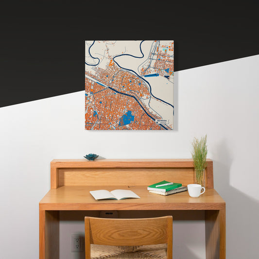 Reynosa Mexico Colorful City Map Canvas Print Scene