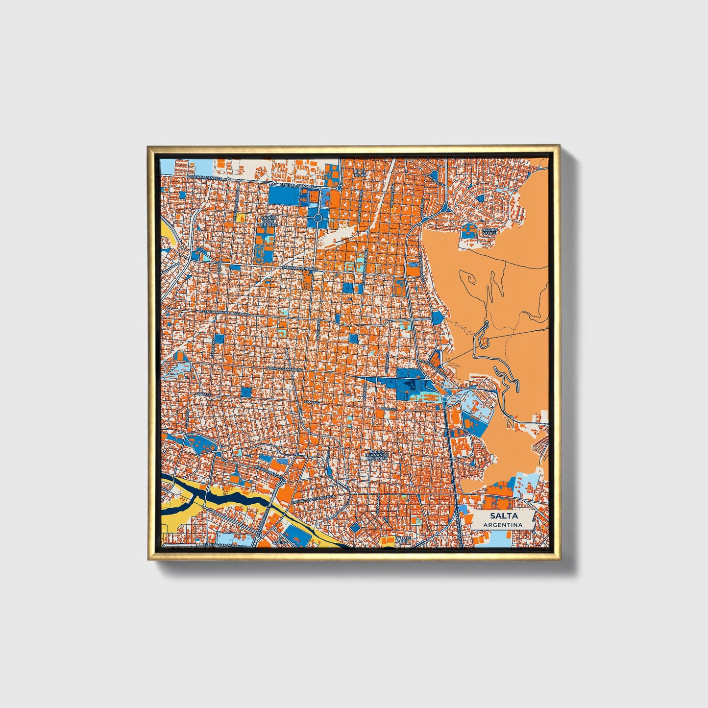 Salta Argentina Colorful City Map Canvas Print • Gold Framed