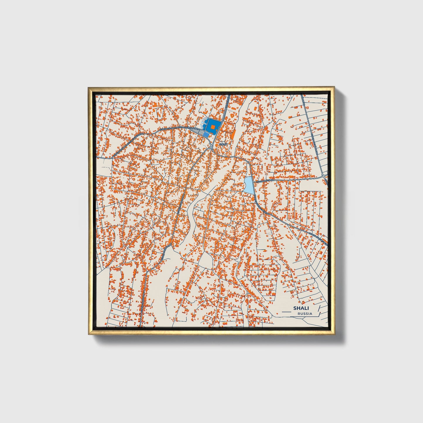 Шали Russia Colorful City Map Canvas Print • Gold Framed