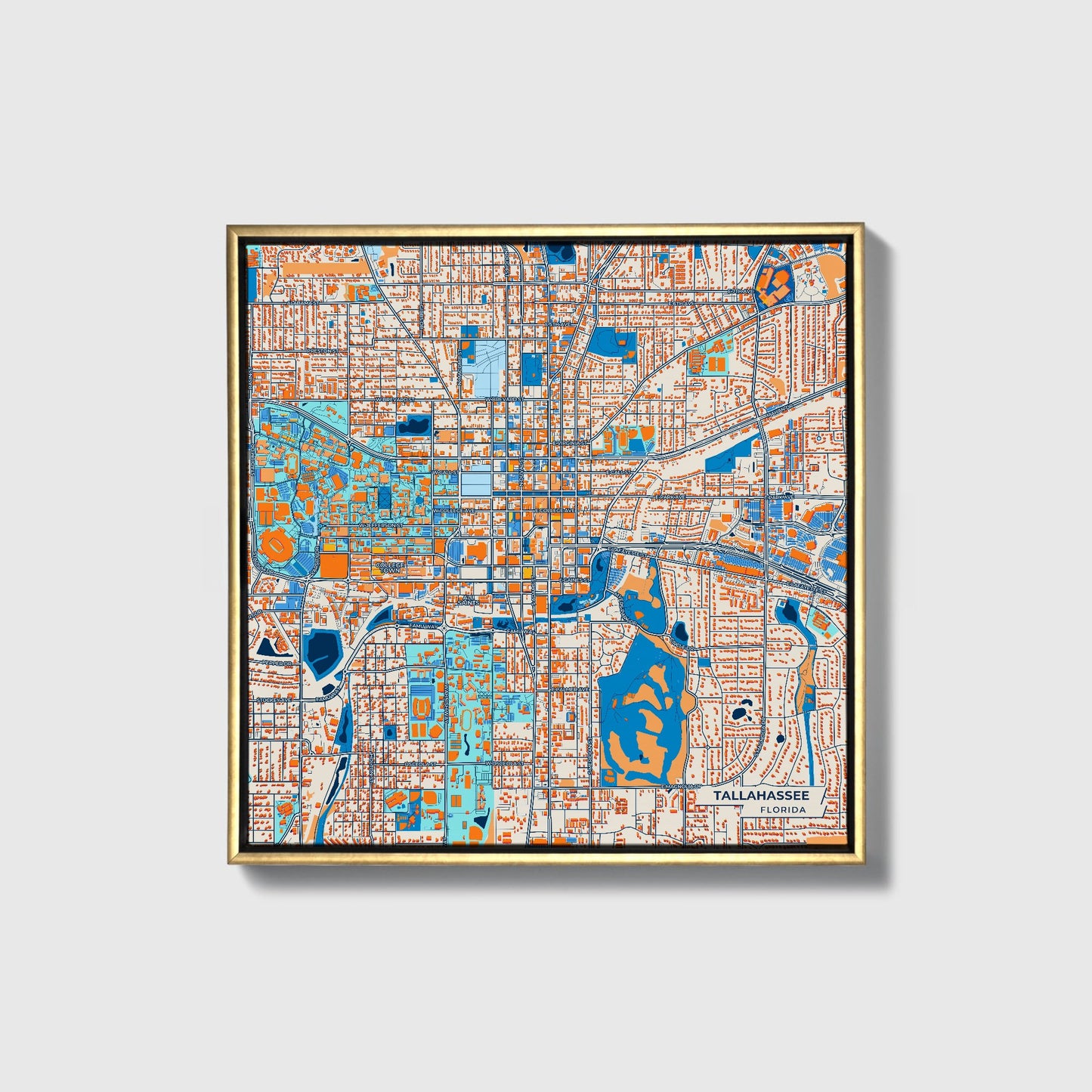 Tallahassee Florida Colorful City Map Canvas Print • Gold Framed
