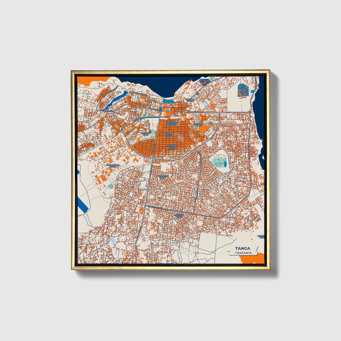 Tanga Tanzania Colorful City Map Canvas Print • Gold Framed