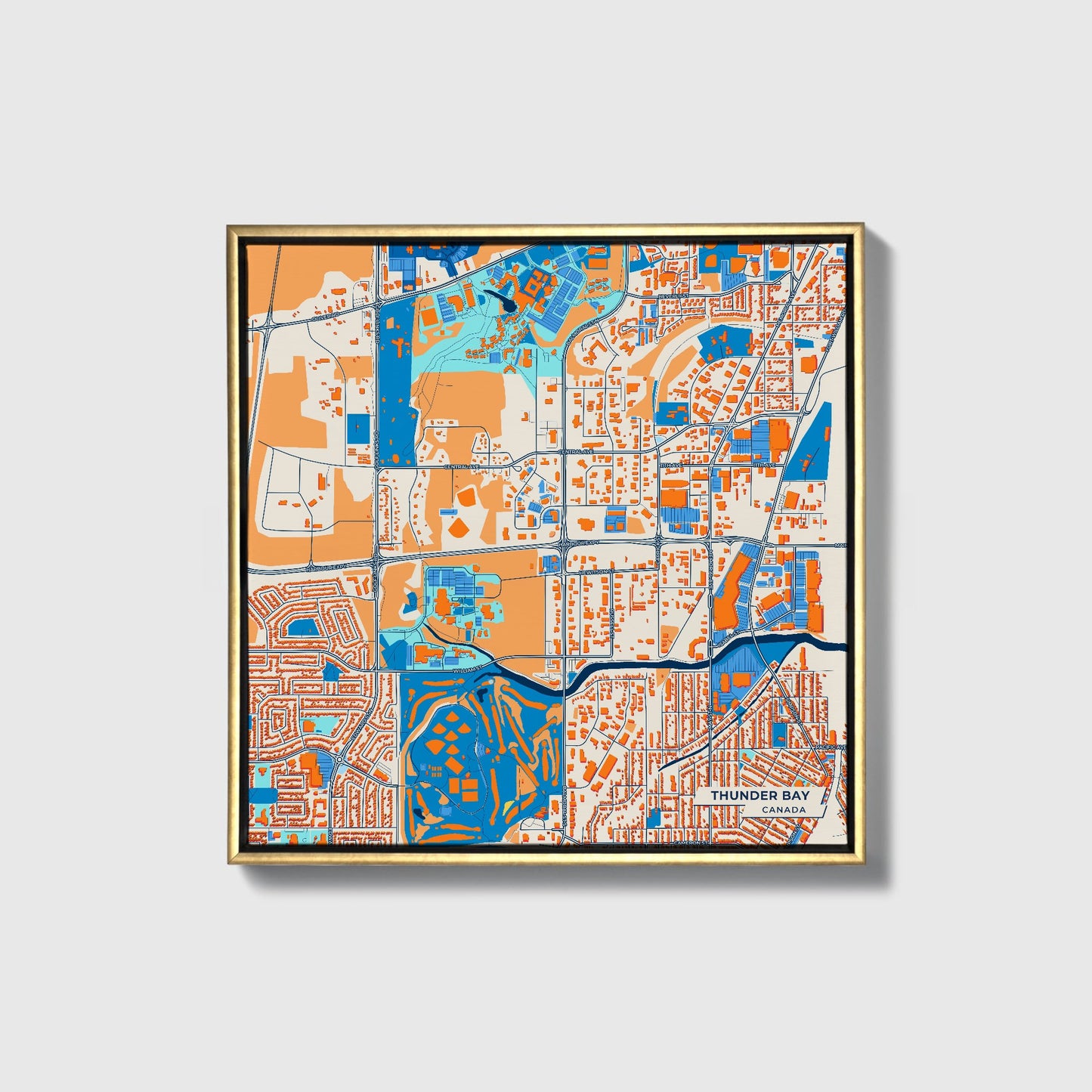 Thunder Bay Canada Colorful City Map Canvas Print • Gold Framed