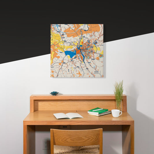 Tomar Portugal Colorful City Map Canvas Print Scene