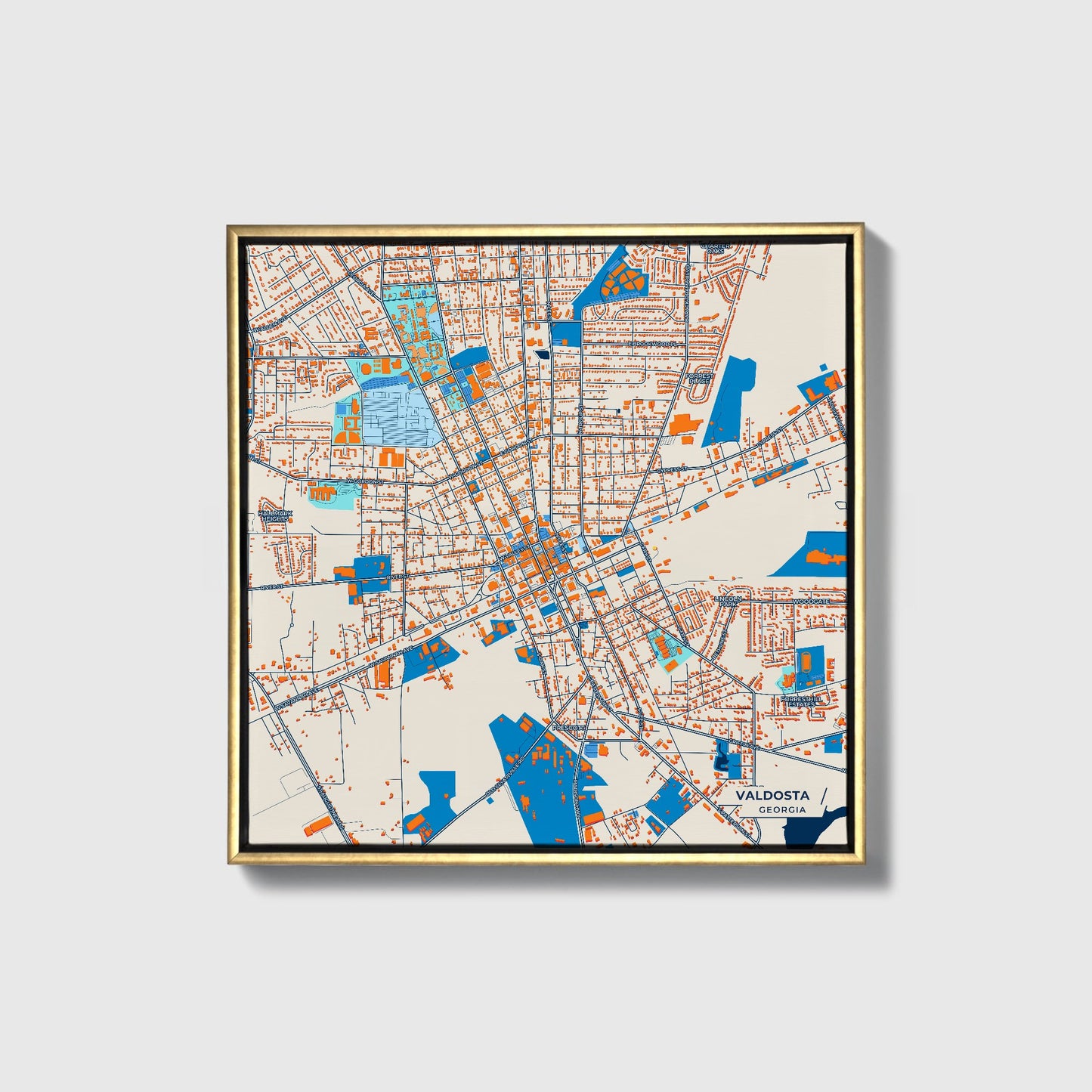 Valdosta Georgia Colorful City Map Canvas Print • Gold Framed