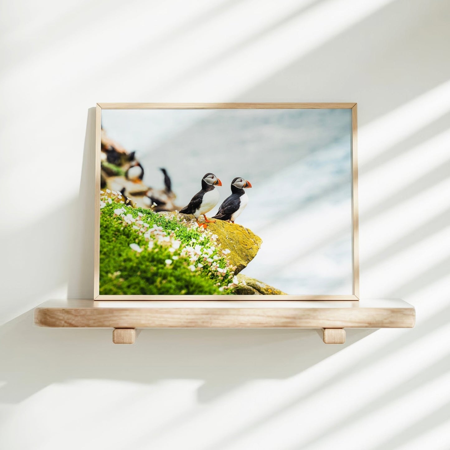 Puffins on Saltee Island – Irish Coastal Wildlife Wall Art