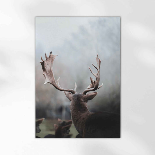 Bavarian Deer Print – Stag Wall Art from the Alps