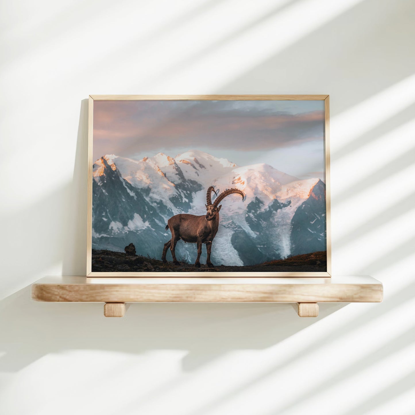 Ibex Sunrise in Chamonix - Wall Art Print of Mont Blanc