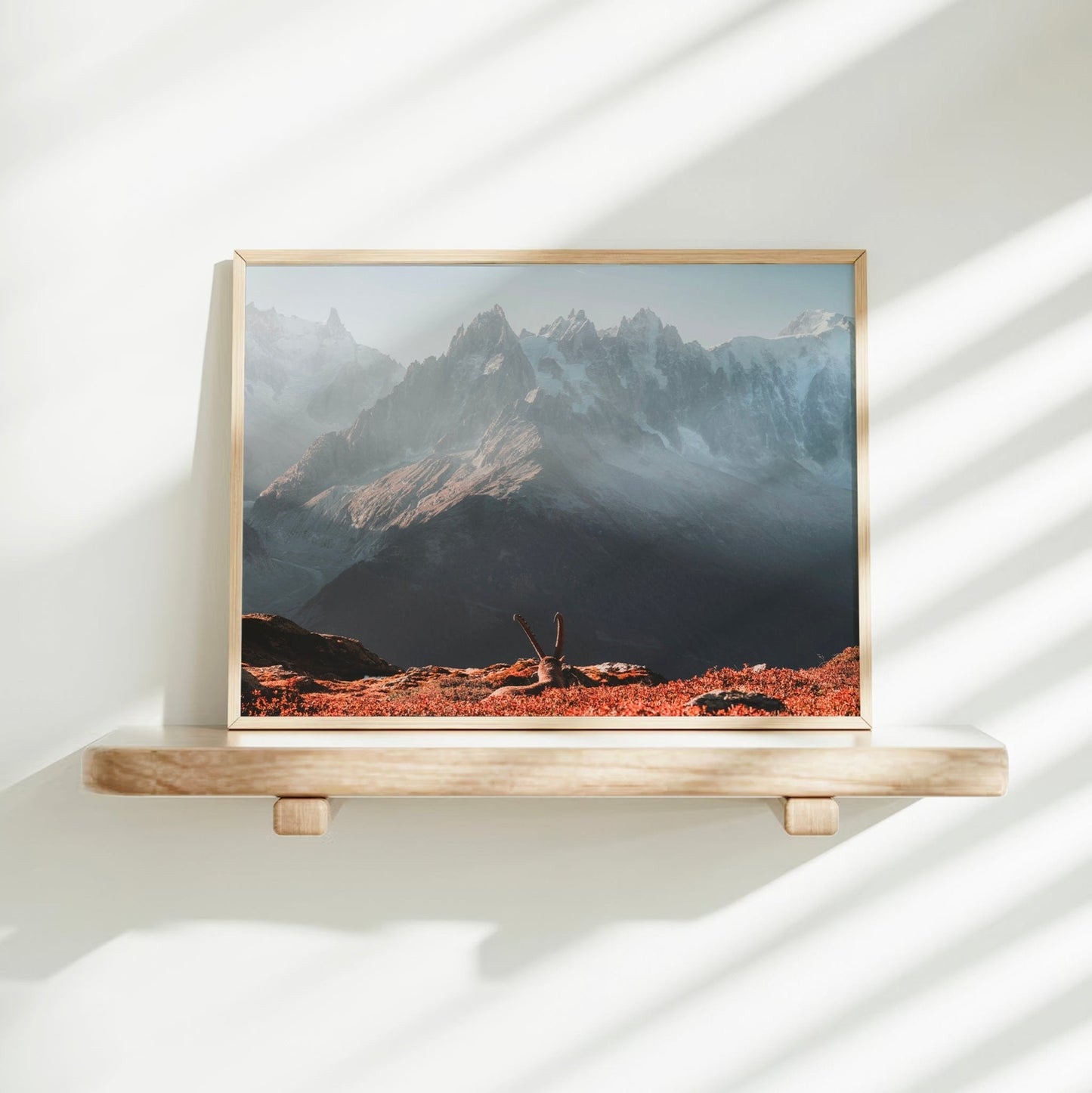 Ibex at Sunrise – Chamonix Mont Blanc Wall Art Print