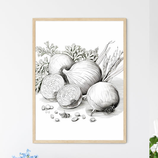 Drawing Of Onions And Parsley Art Print Default Title