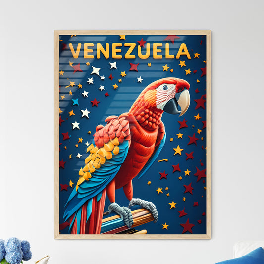 Venezuela - A Colorful Bird On A Branch Default Title