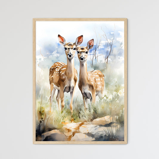 Two Female Lesser Kudu Antelopes - Two Deer In The Grass Default Title