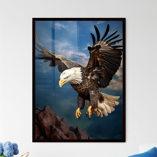 A Poster of An eagle flying upward - A Bald Eagle Flying In The Sky Default Title