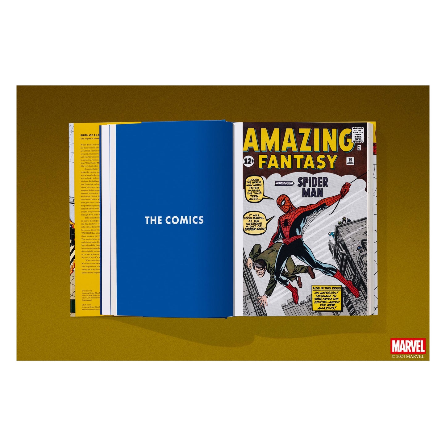 Marvel Comics Library. Spider-Man. 1962–1964 (English)