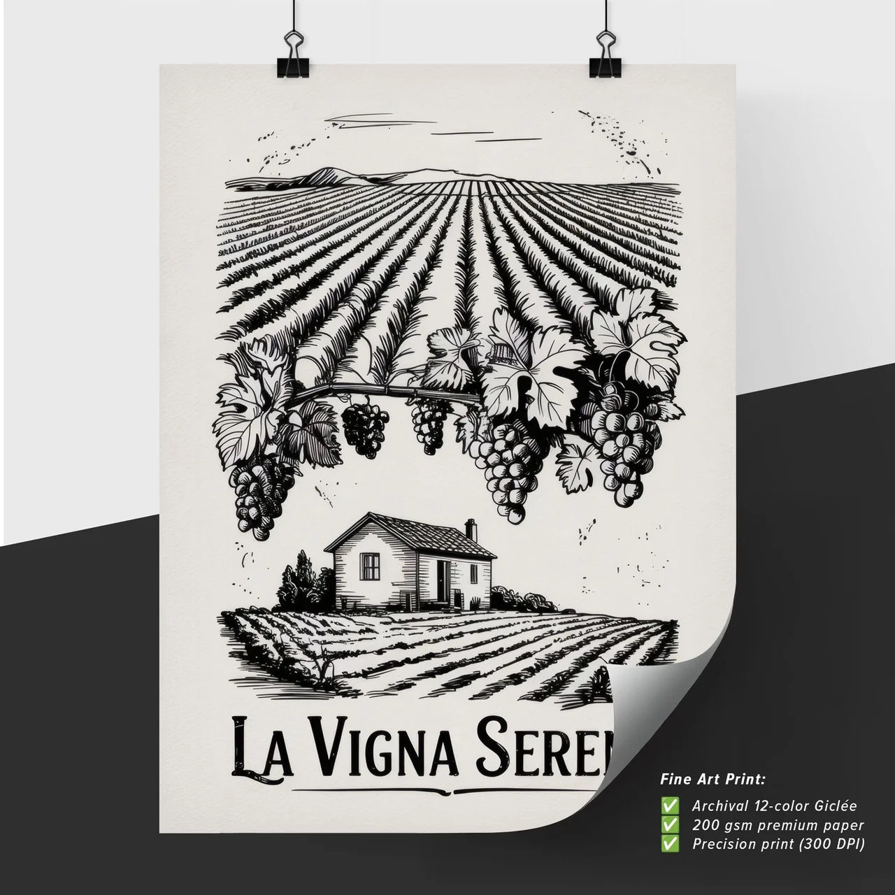 Charming Vineyard Landscape with Grapevines and Rustic House Illustration for Wine Branding.
