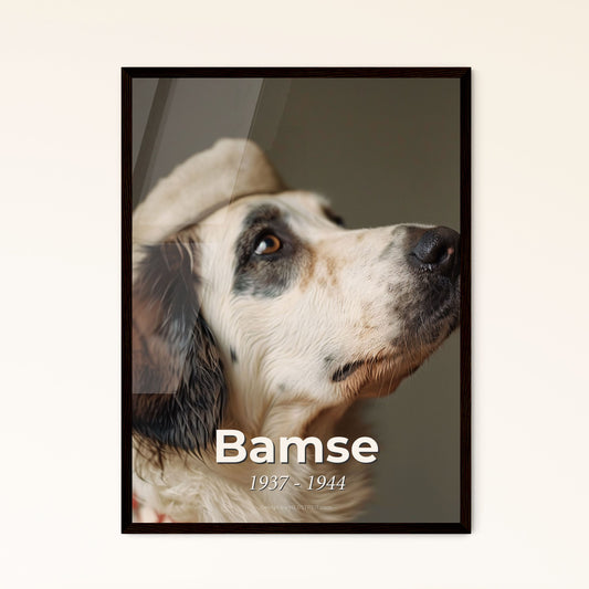 Bamse: Heroic Norwegian War Dog | Cinematic Portrait Print with Rustic Elegance | Perfect for Home Decor & Gift Giving