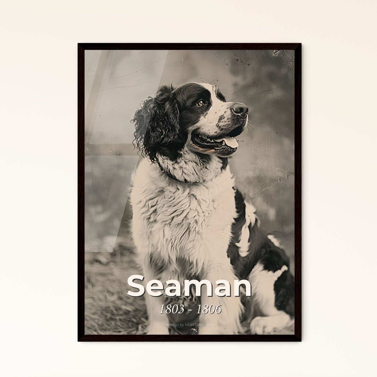 Seaman: The Loyal Newfoundland of Lewis & Clark - A Stunning Ultrarealistic Monochrome Print for Home Decor and Gifting