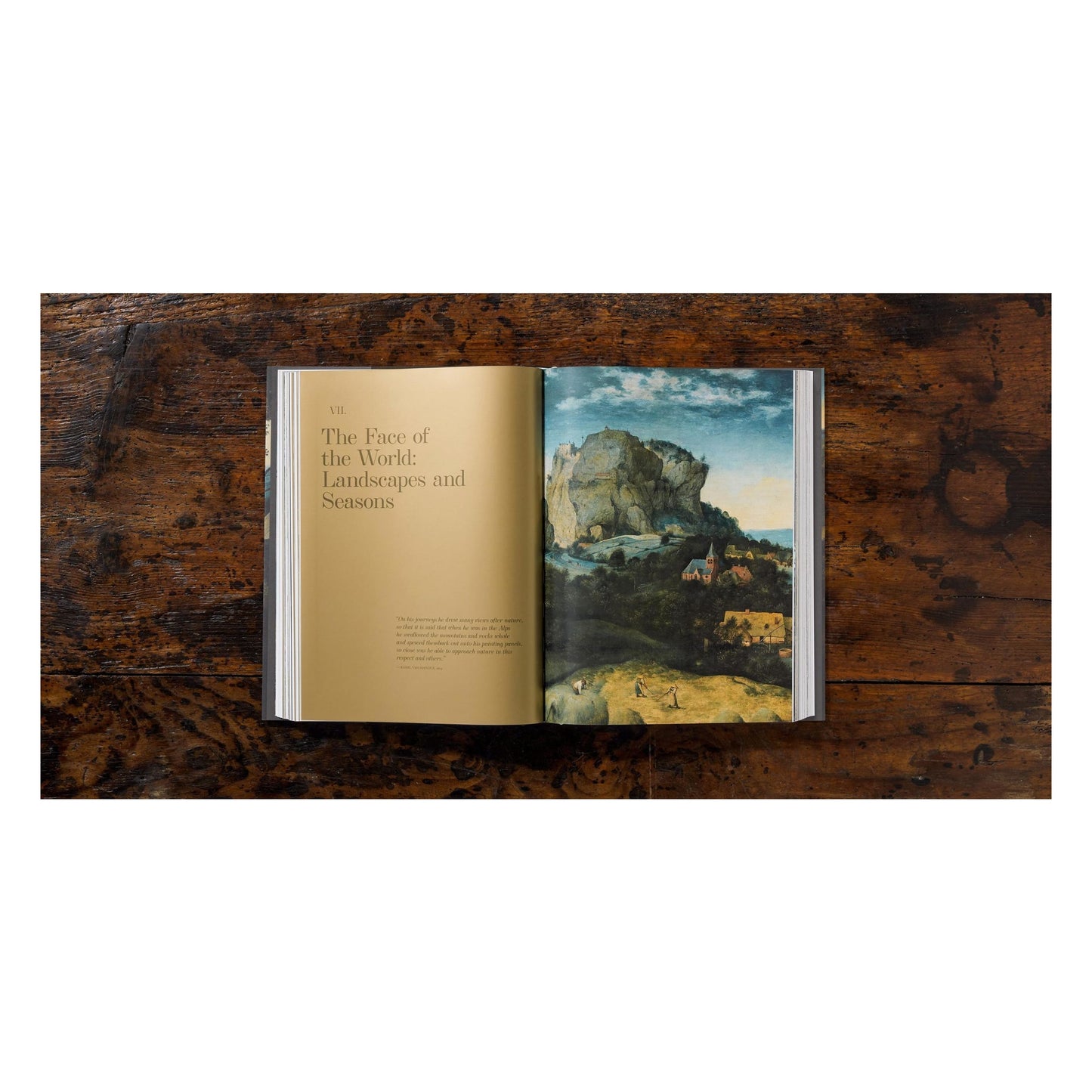 Bruegel. The Complete Works (English)