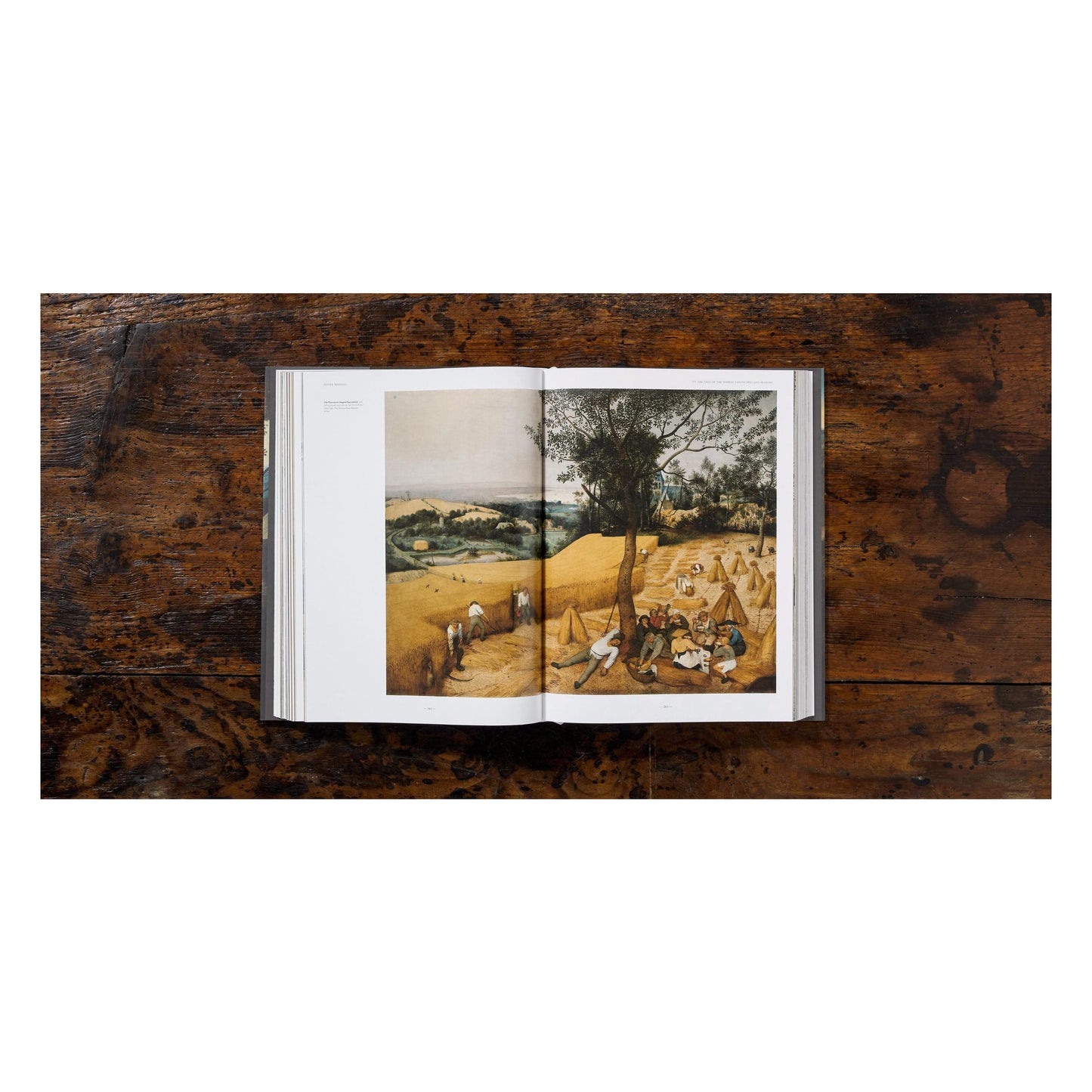 Bruegel. The Complete Works (English)