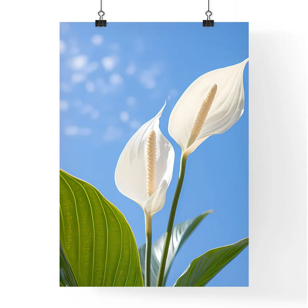 Close Up Of A Plant Art Prin Poster