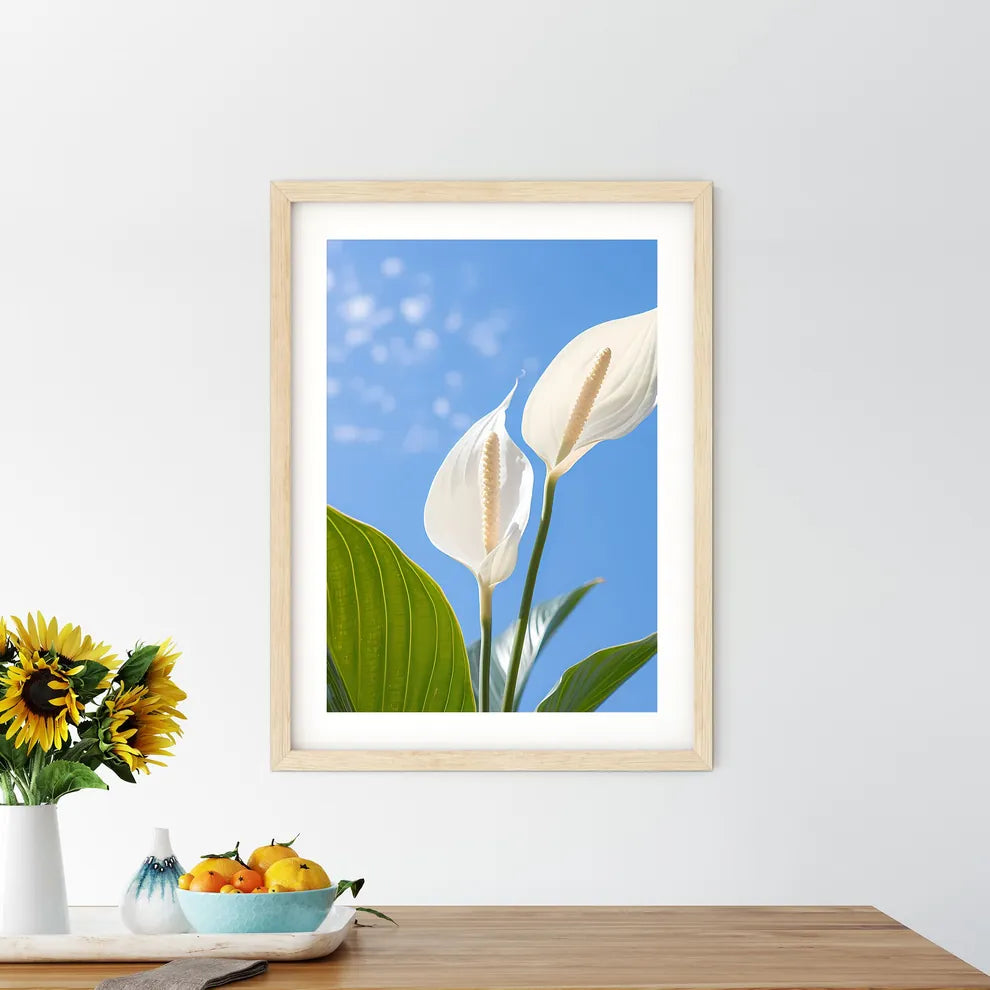 Close Up Of A Plant Art Prin - Kitchen Hangings